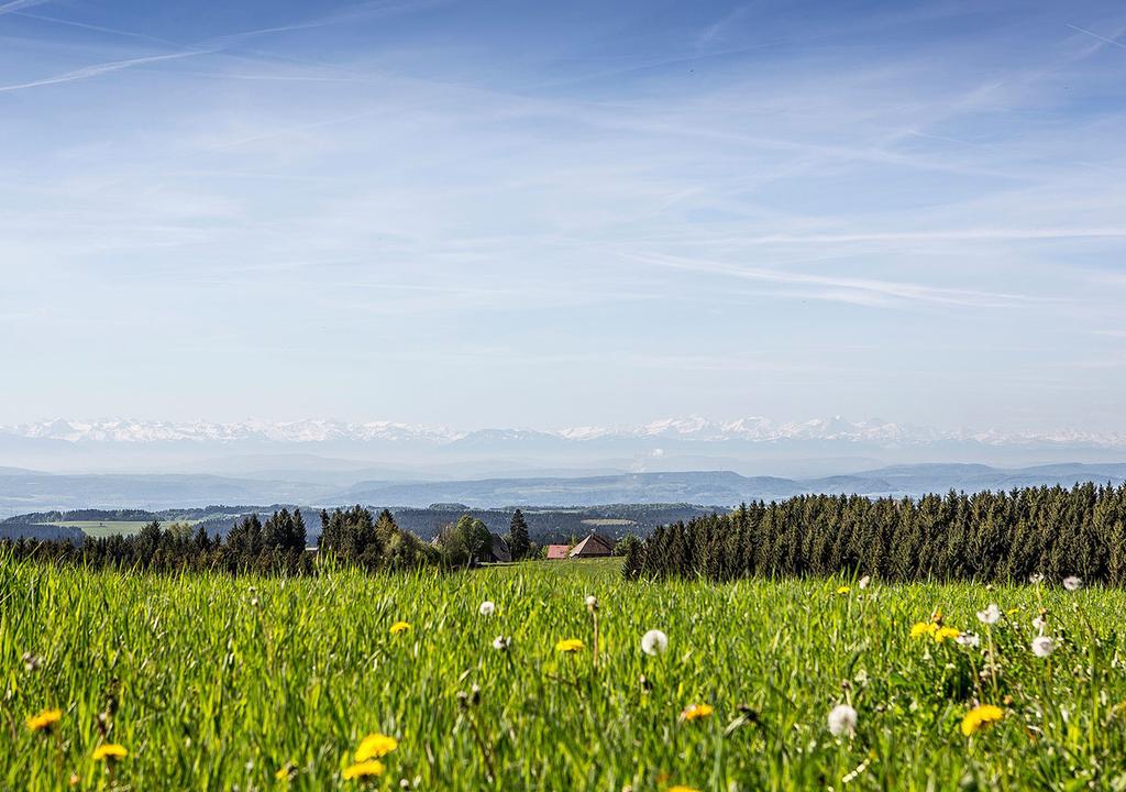 Portens Fernblick Hotel